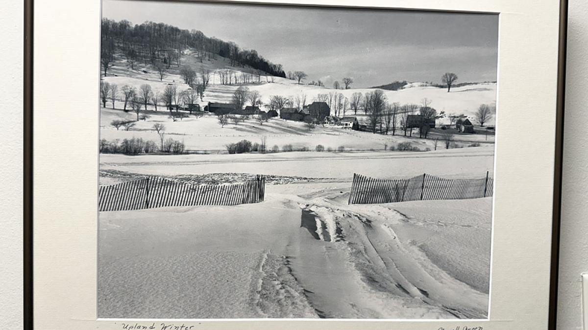 Lot 111_Upland Winter © Newell Green; 18” X 22”; $575; Framed