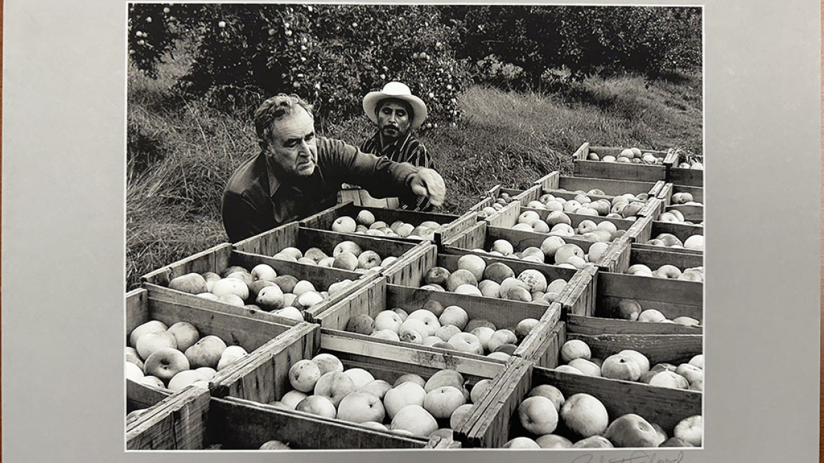Lot 117_Tom Bshista and Worker with Apples © Robert Floyd; 16” X 20”; $150