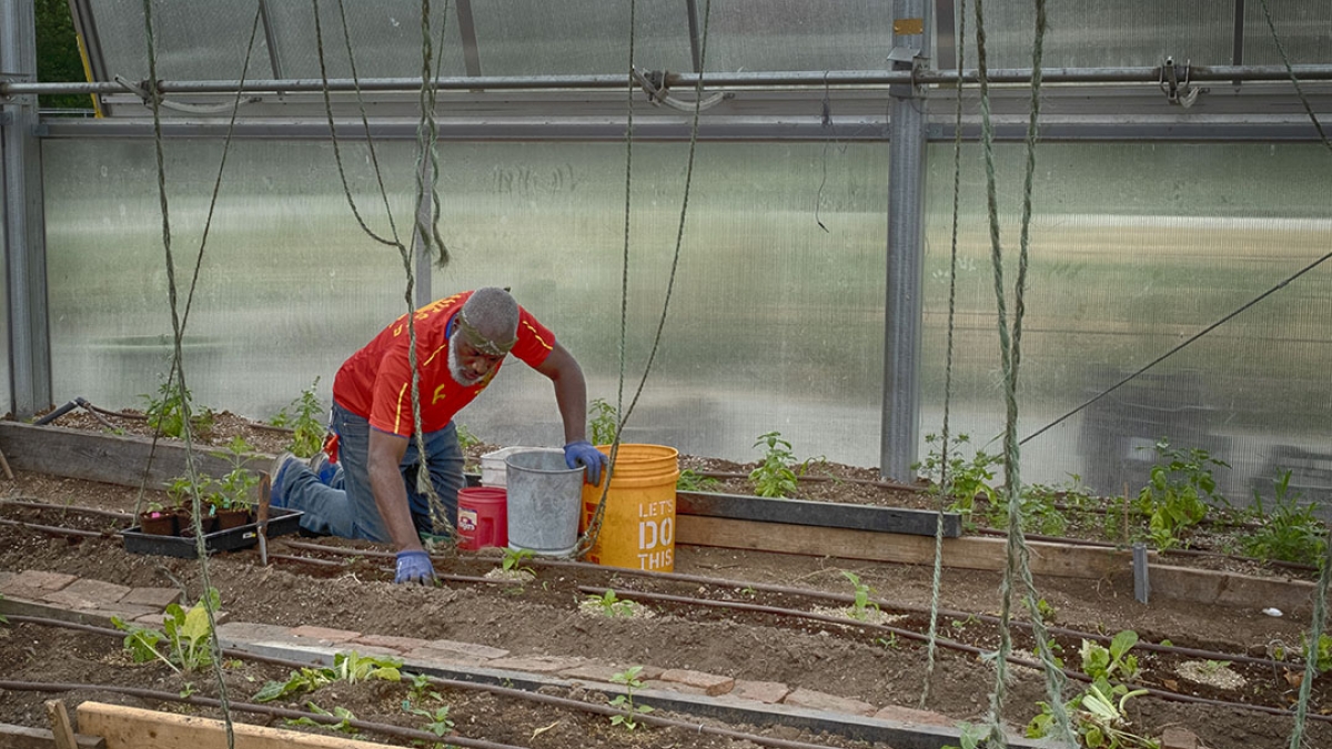 Gardening the Community Garden #11 © 2020 Patricia Crutchfield