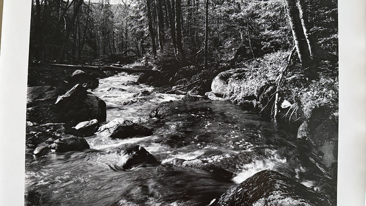 Lot 120_Forest Stream © Pierre Charrier; 16” X 20”; $950 Canadian