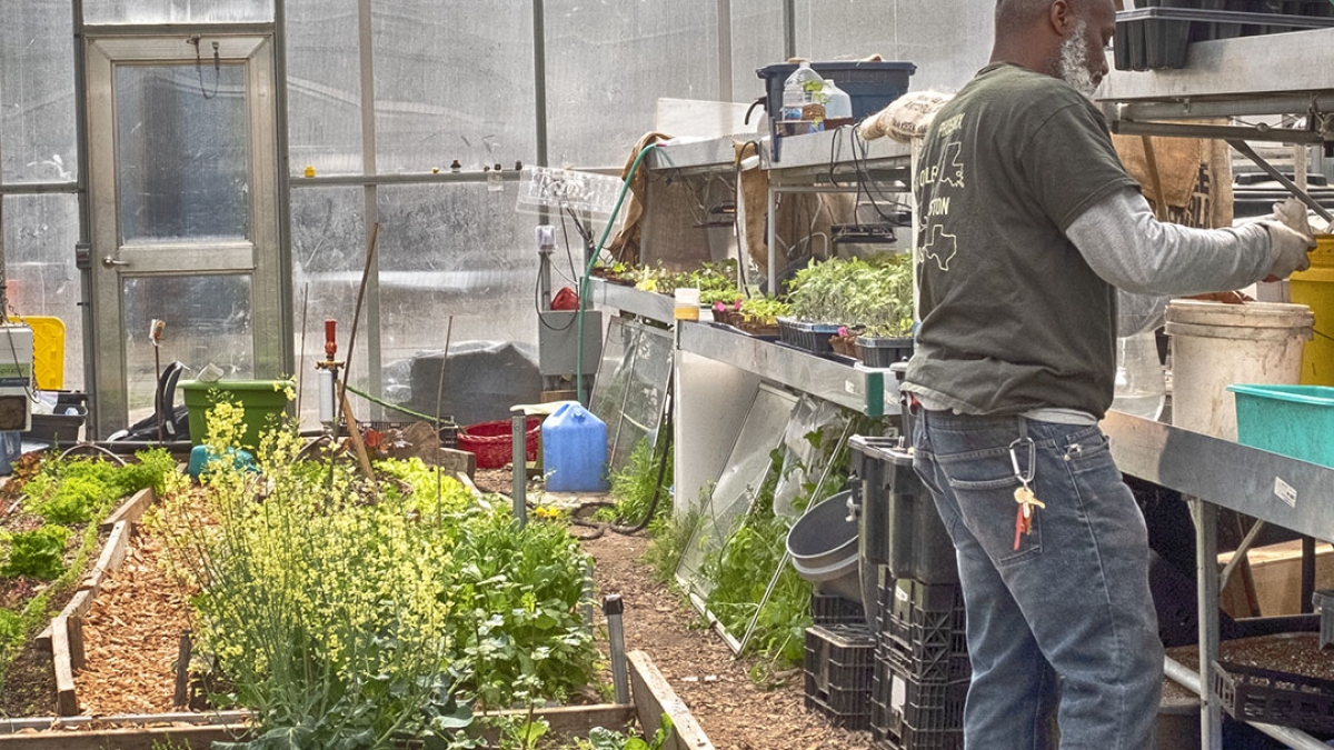 Gardening the Community Garden #12 © 2020 Patricia Crutchfield