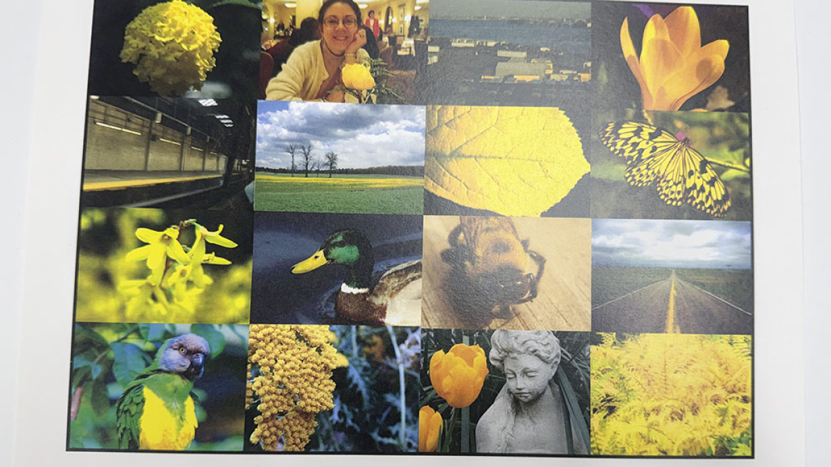 Lot 131_Study in Yellow © Julius Lester; 8.5” X 11”; $125