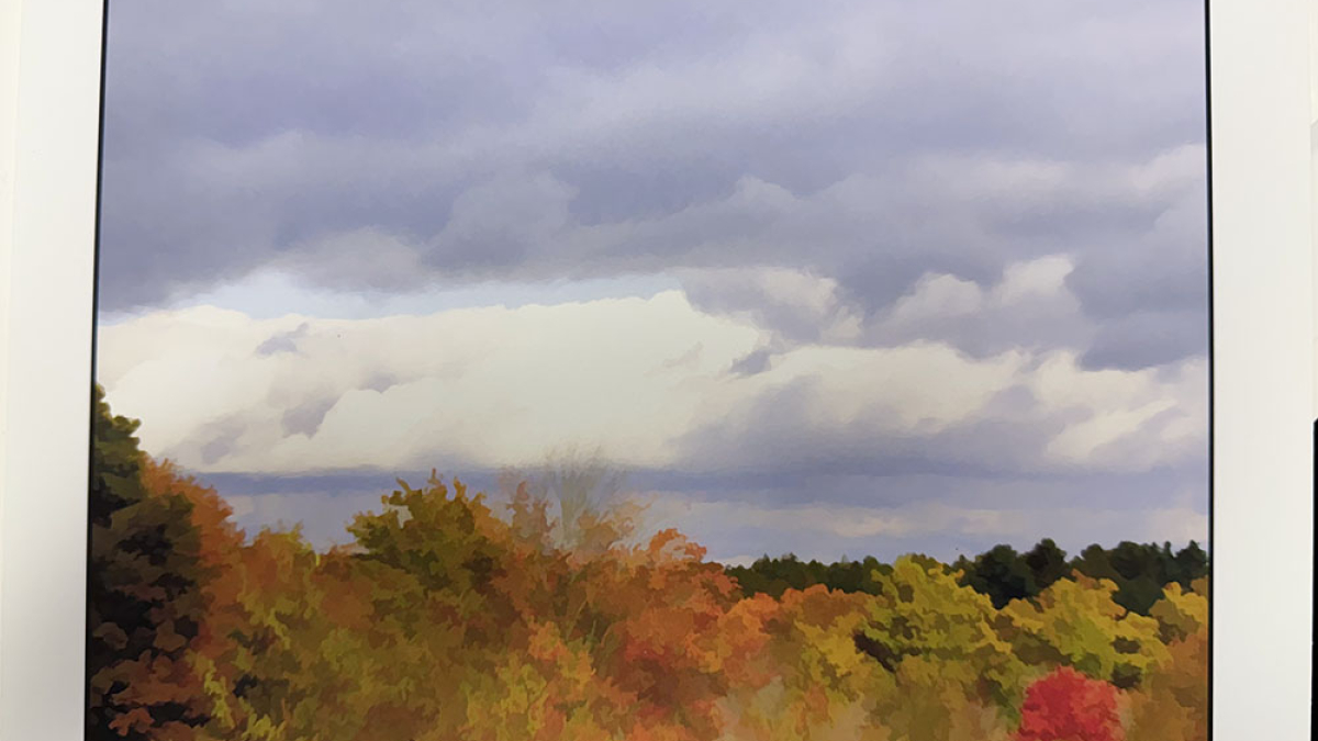 Lot 132_Autumn Colors © Julius Lester; 8.5” X 11”; $125