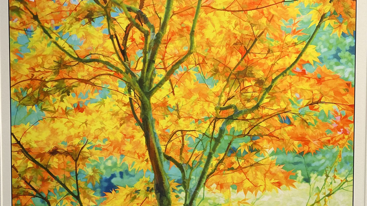 Lot 133_October Autumn © Julius Lester; 8.5” X 11”; $125