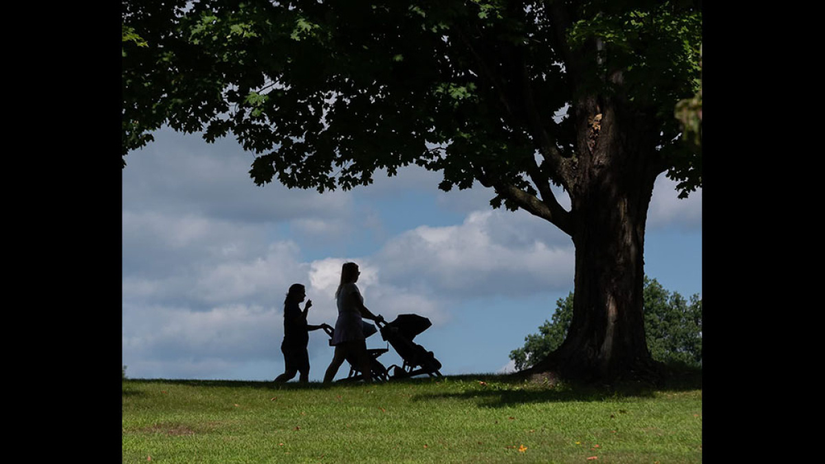 Lot 135_Stroll in the Park © Marc St. Onge; 16” X 20”; $175; Framed