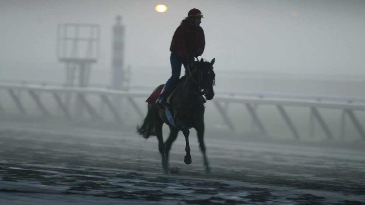 Lot 139_Fog, Saratoga © Vincent Dusovic; 20” X 24”; $300