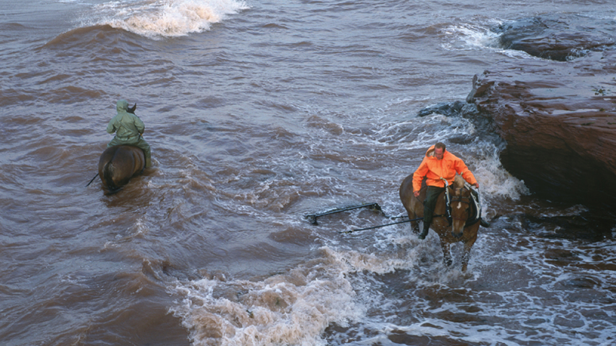 Lot 146_Irish Moss Harvest III © Robert Floyd; 19” X 24”; Matted