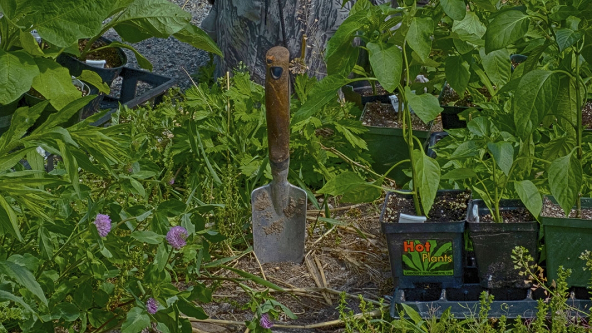 Gardening the Community Garden #15_2 © 2020 Patricia Crutchfield