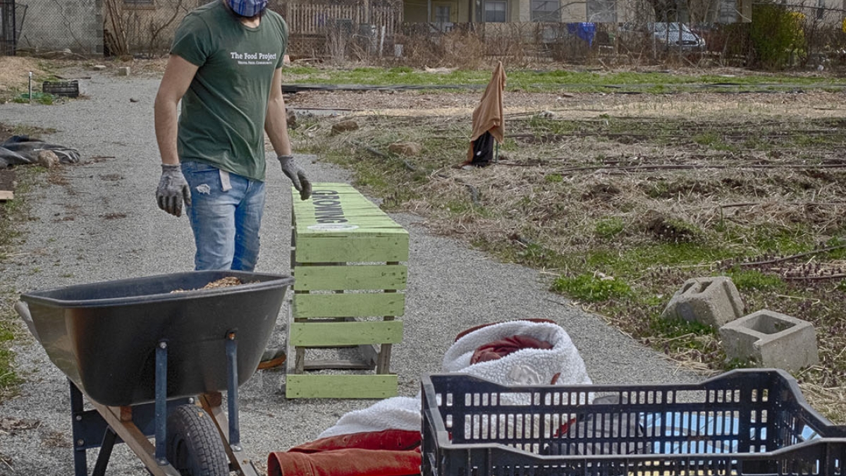 Gardening the Community Garden #16 © 2020 Patricia Crutchfield
