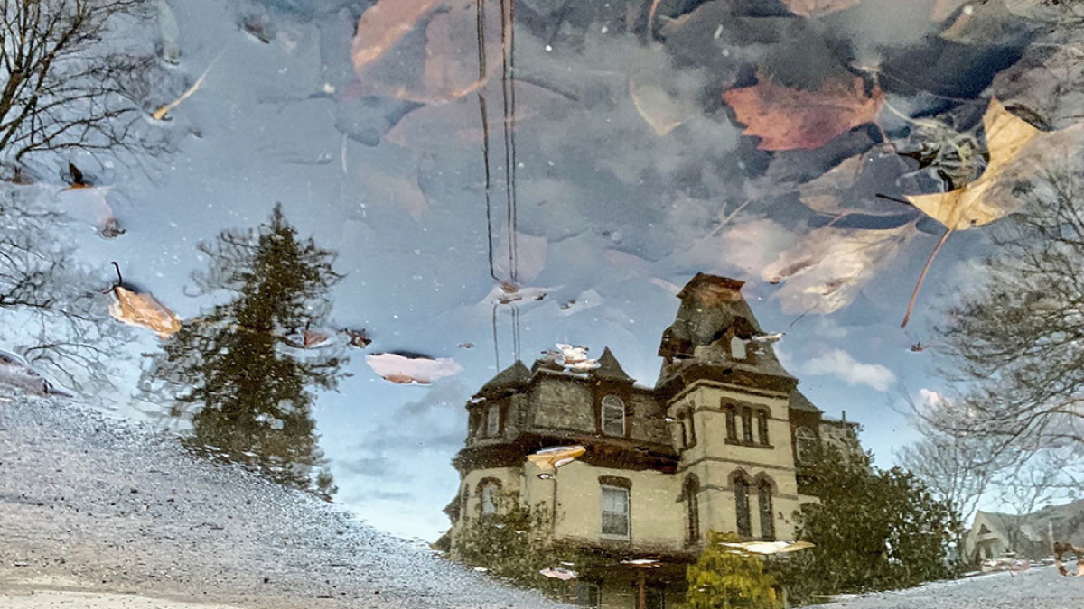 Leafy Mansion © 2022 Robert Floyd