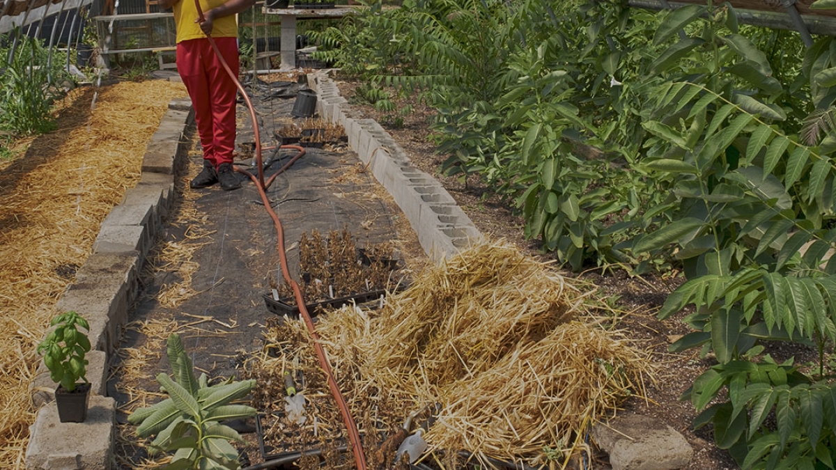 Gardening the Community Garden #17_2 © 2020 Patricia Crutchfield