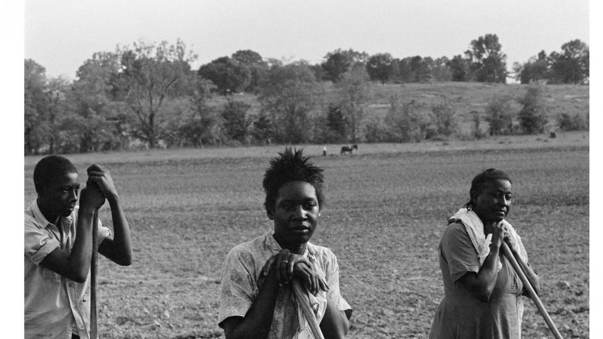 Farmworkers, AL © Julius Lester, 1966 - 1969