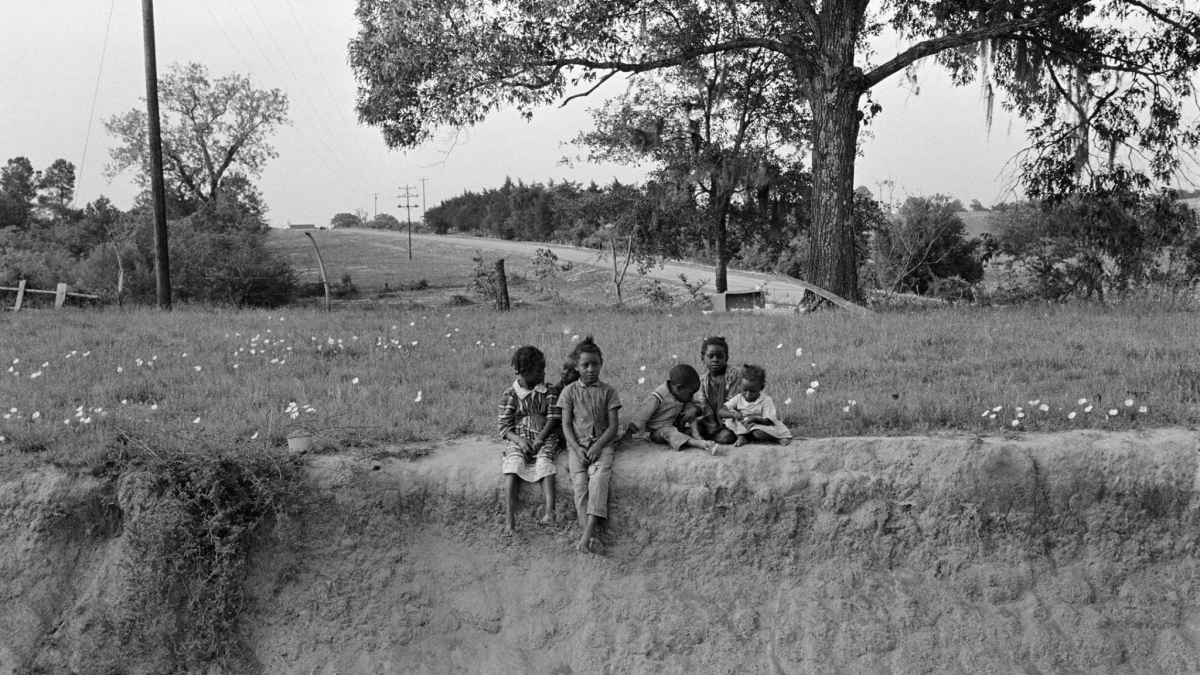 Children in Wildflower Field © Julius Lester, 1966 - 1969
