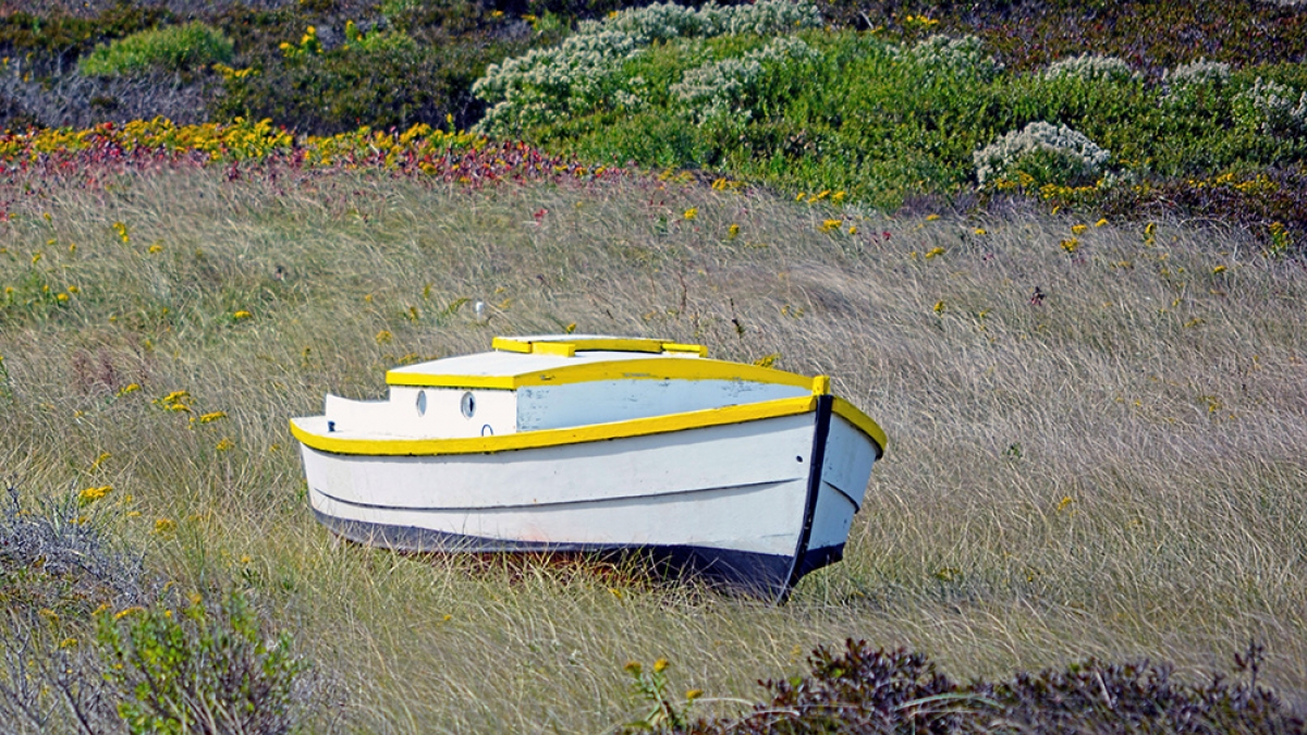 Boat in Salt Marsh ©Larry Cadorette, 2018