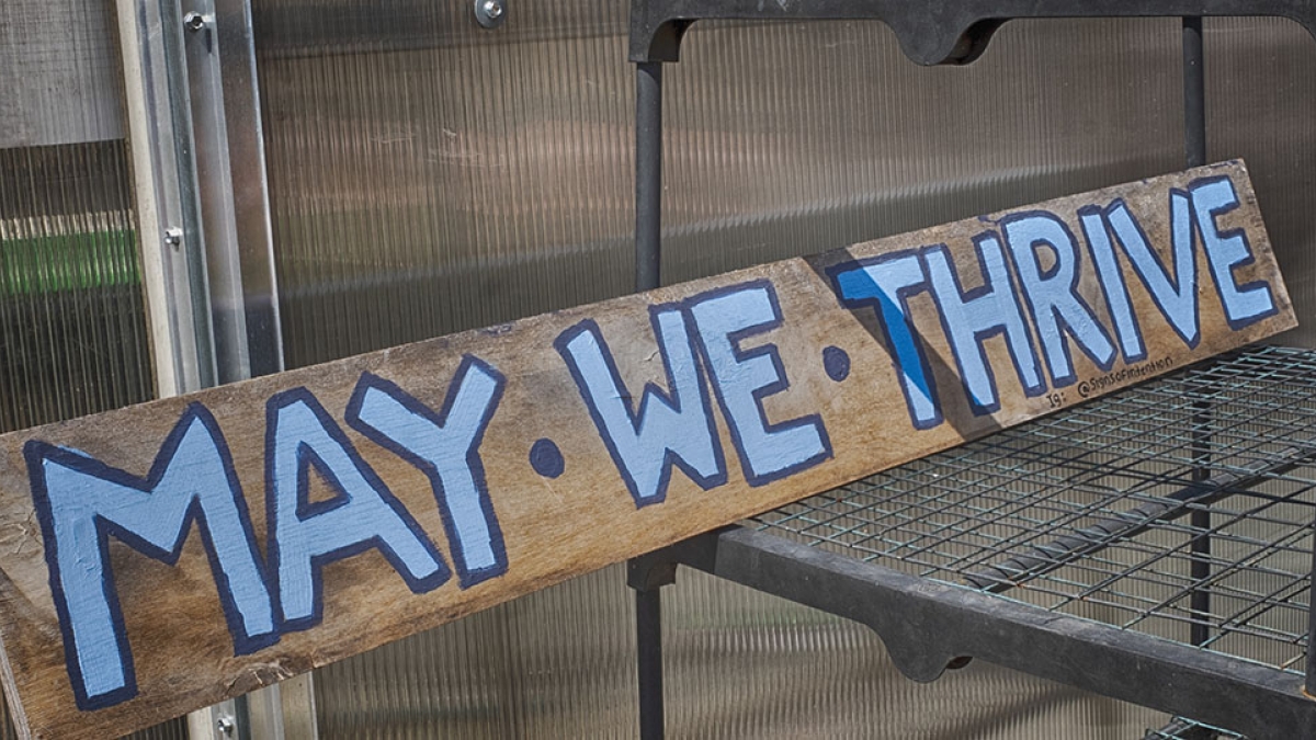 Gardening the Community Garden #1 © 2020 Patricia Crutchfield