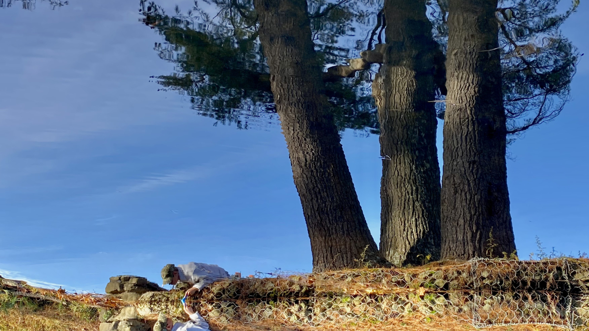 Look Park Rescue © 2022 Dave Madeloni