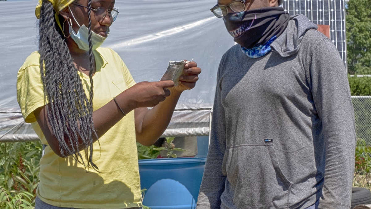 Gardening the Community Garden #22 © 2020 Patricia Crutchfield