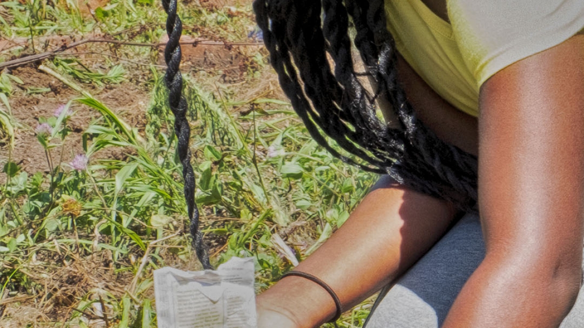 Gardening the Community Garden #25_2 © 2020 Patricia Crutchfield