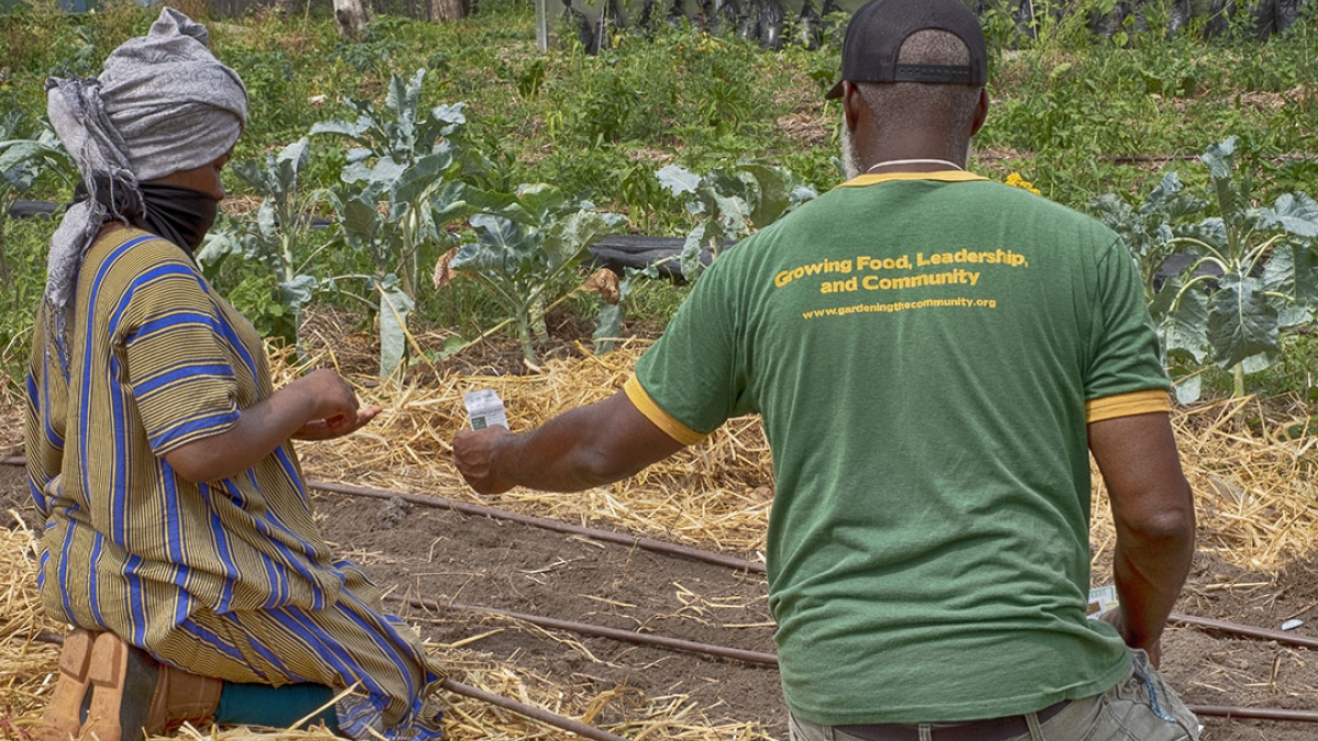 Gardening the Community Garden #26_3 © 2020 Patricia Crutchfield
