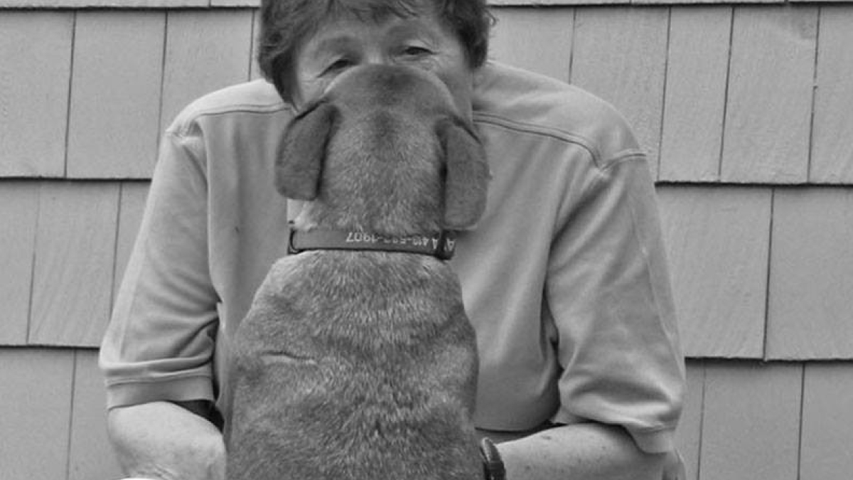 Eye to Eye © Maggie Horsnell