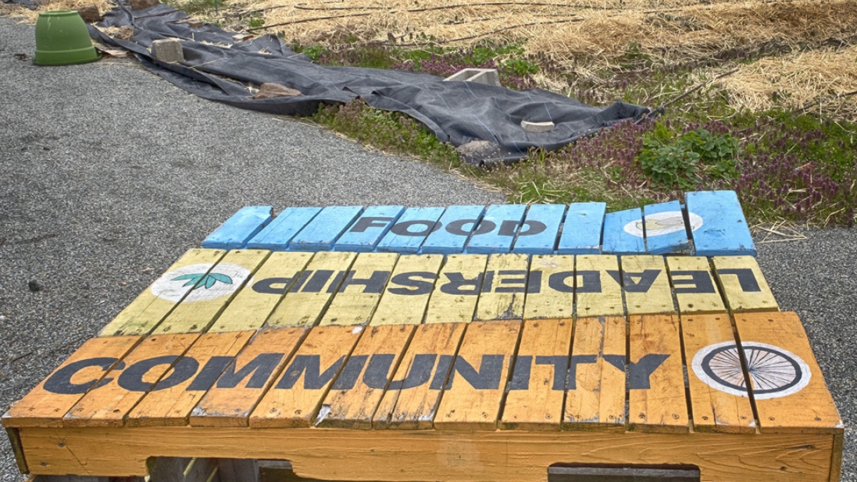 Gardening the Community Garden #2 © 2020 Patricia Crutchfield