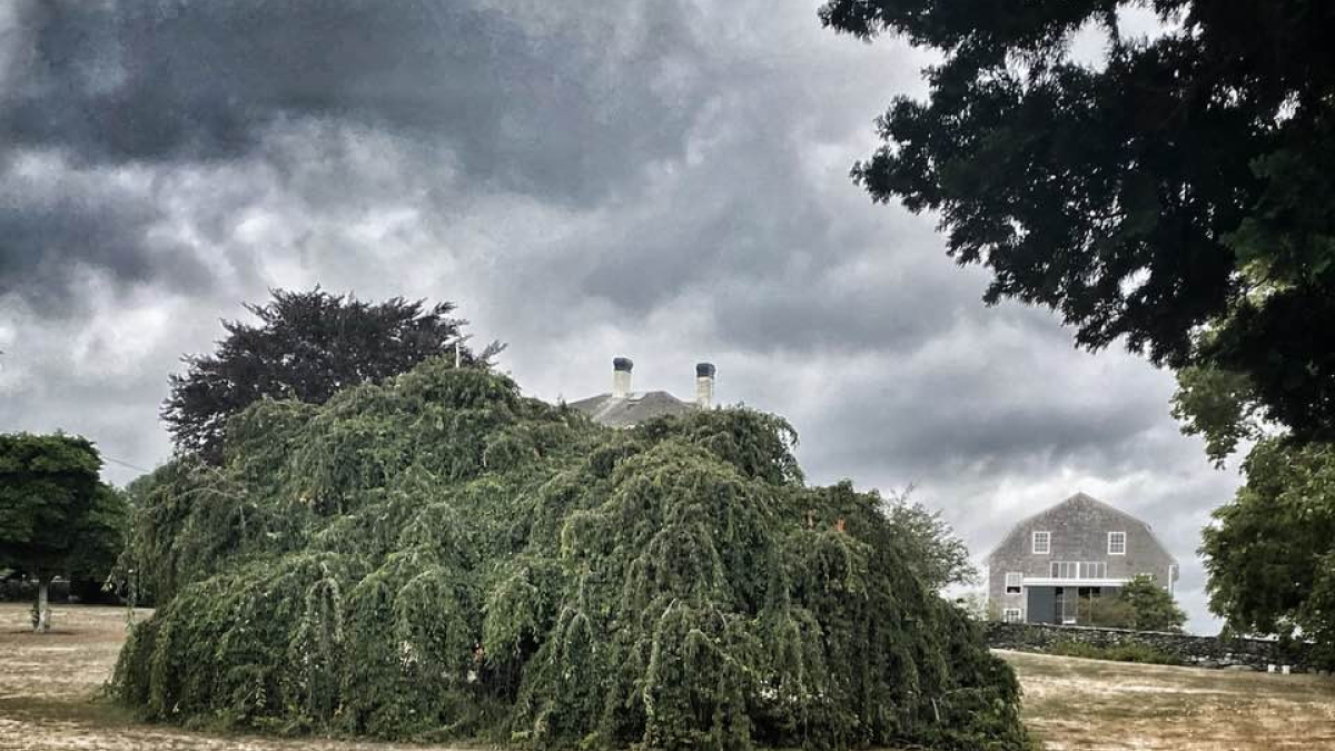 Tiverton Landscape © 2022 Robert Floyd