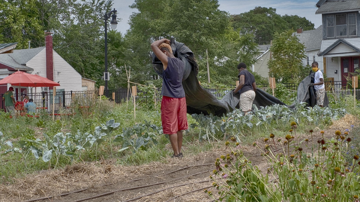 Gardening the Community Garden #30 © 2020 Patricia Crutchfield