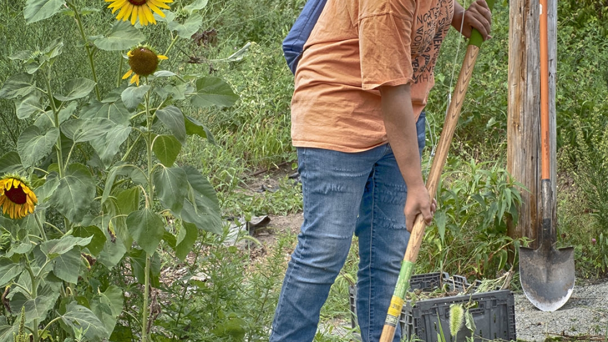 Gardening the Community Garden #31 © 2020 Patricia Crutchfield