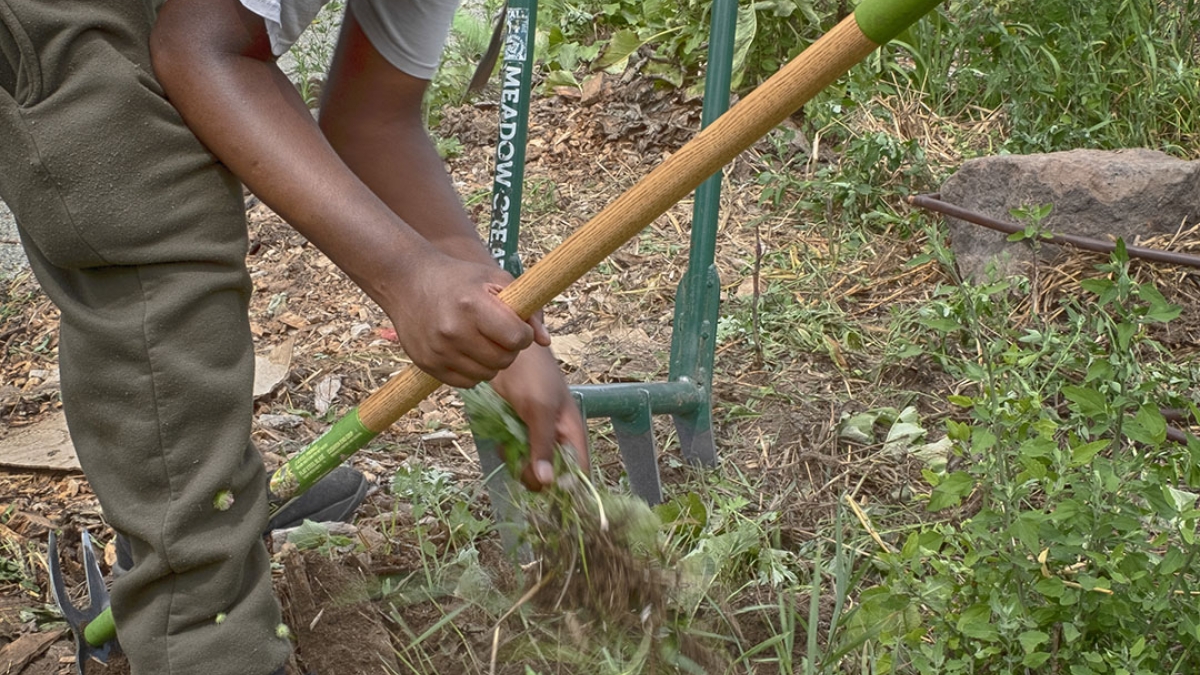 Gardening the Community Garden #32 © 2020 Patricia Crutchfield