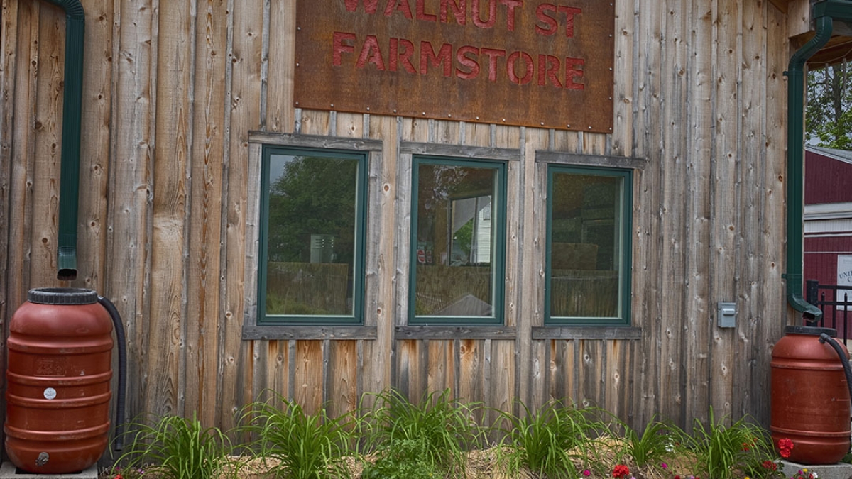 Gardening the Community Garden #3 © 2020 Patricia Crutchfield