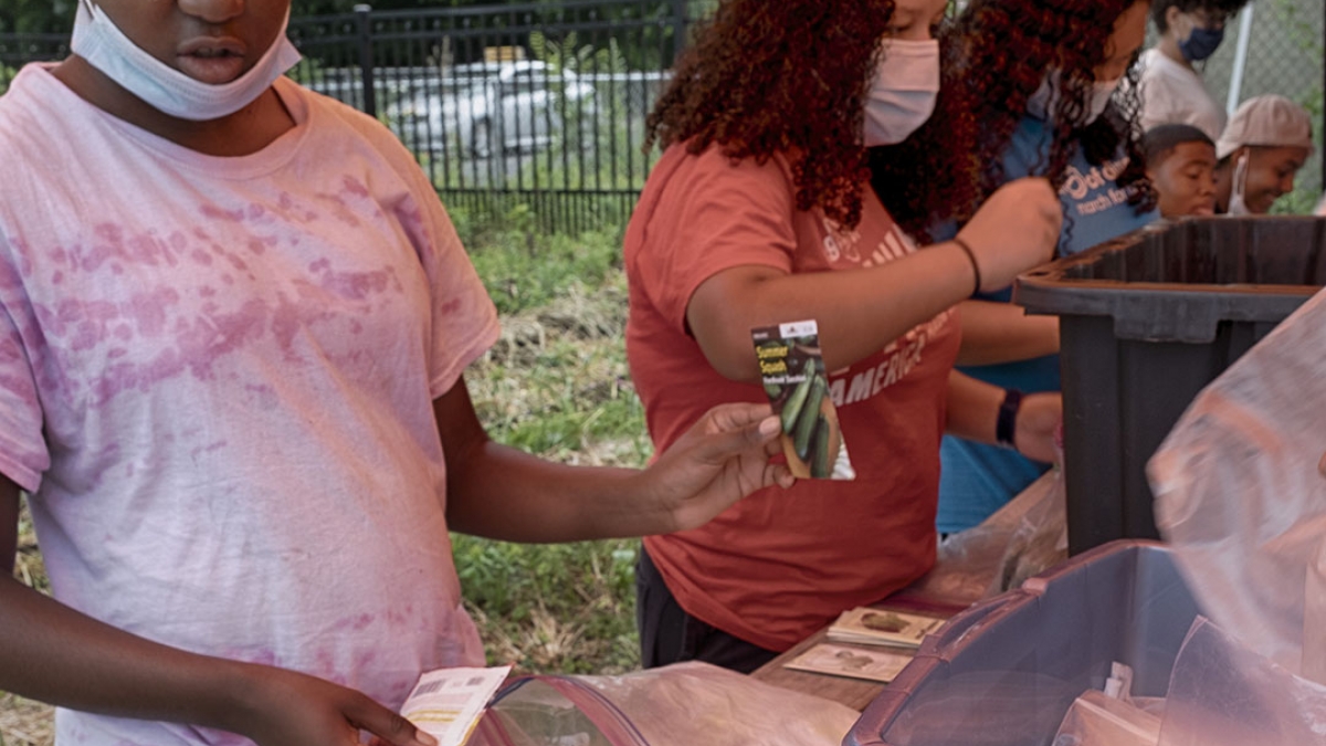Gardening the Community Garden #42_1 © 2020 Patricia Crutchfield