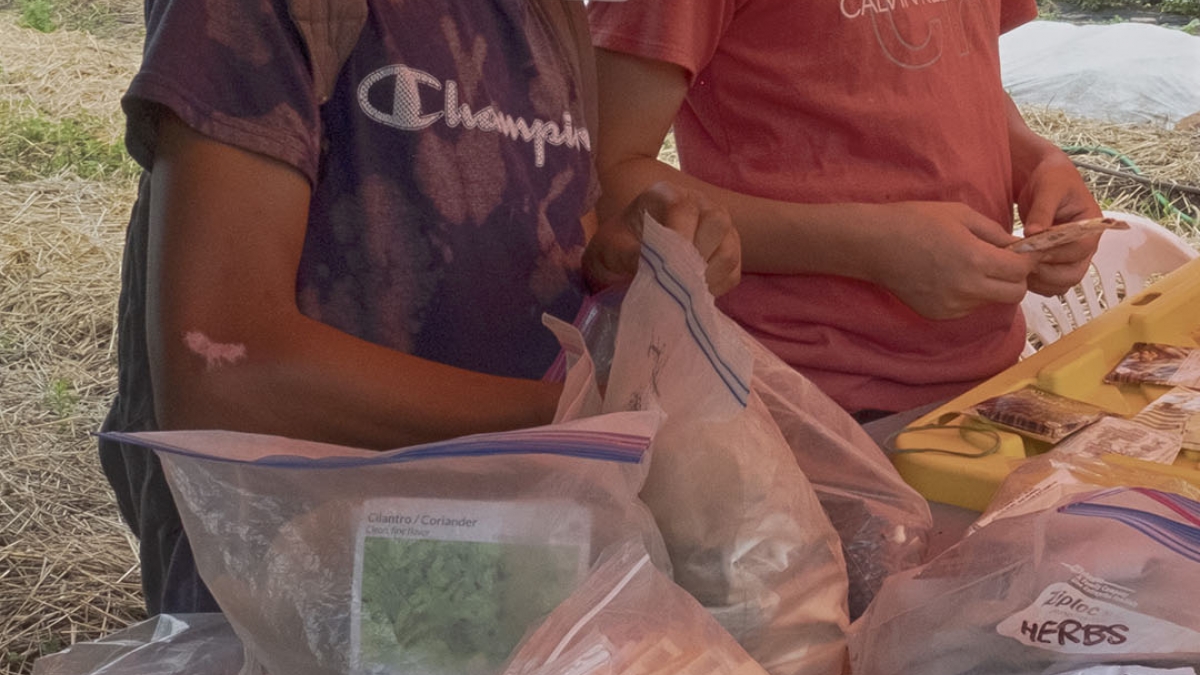 Gardening the Community Garden #42_5 © 2020 Patricia Crutchfield