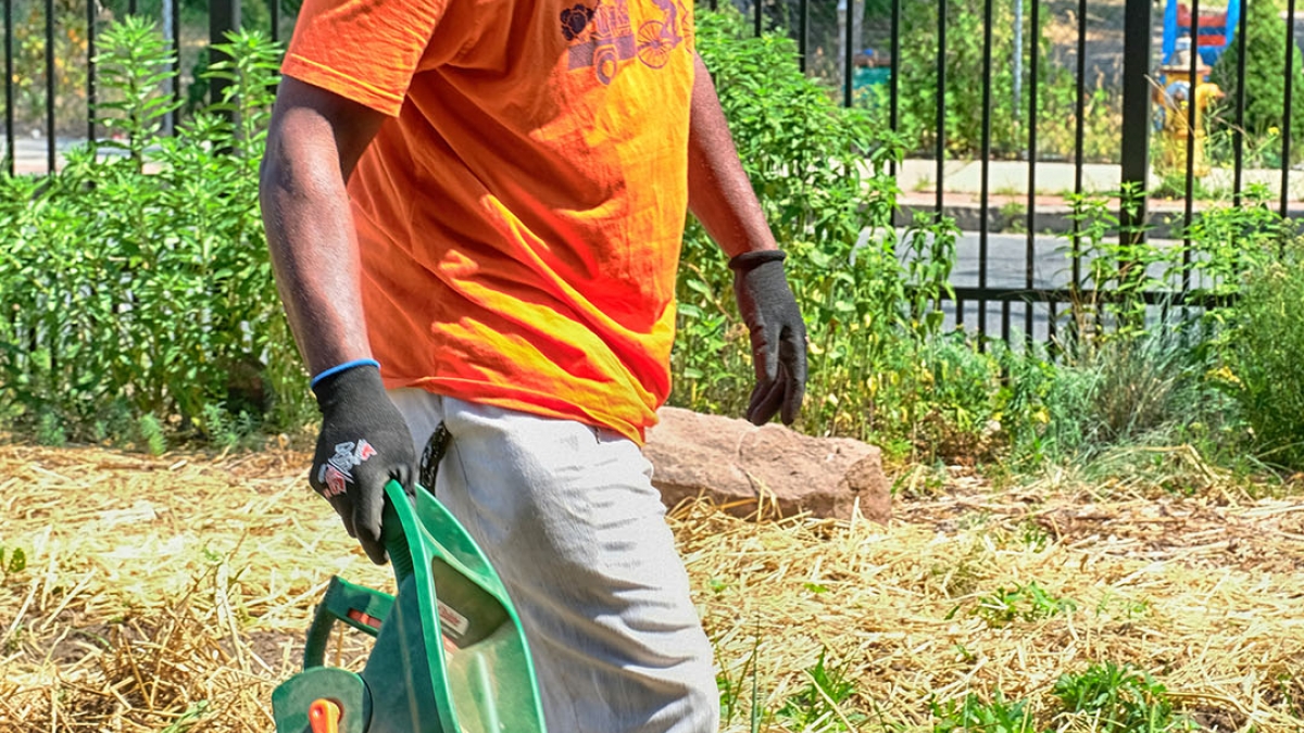 Gardening the Community Garden #46_1 © 2020 Patricia Crutchfield
