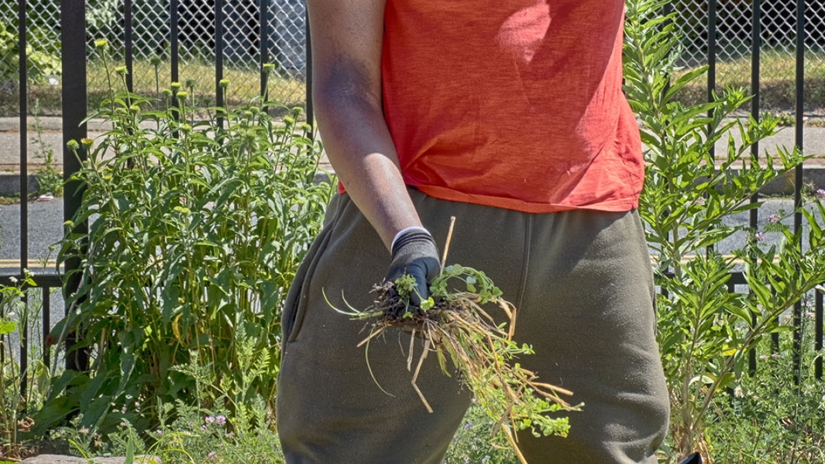 Gardening the Community Garden #48_1 © 2020 Patricia Crutchfield