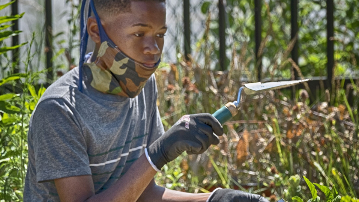 Gardening the Community Garden #48_3 © 2020 Patricia Crutchfield