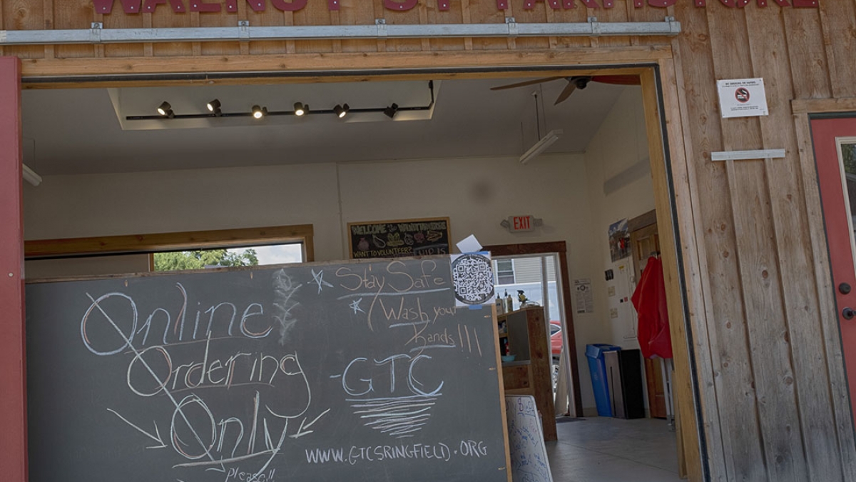 Gardening the Community Garden #4 © 2020 Patricia Crutchfield