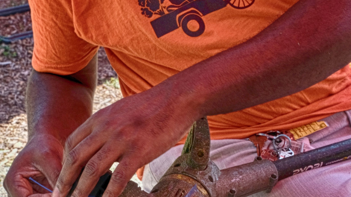 Gardening the Community Garden #51_1 © 2020 Patricia Crutchfield