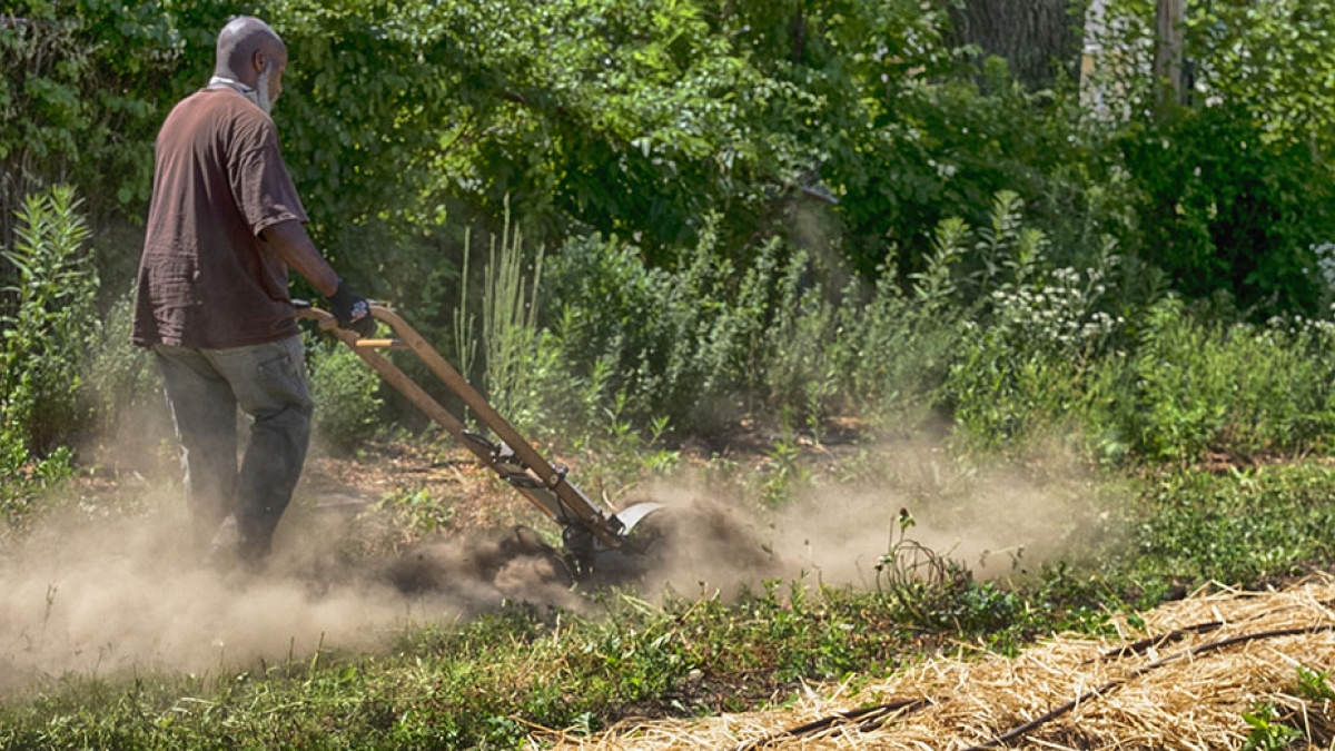 Gardening the Community Garden #51_3 © 2020 Patricia Crutchfield