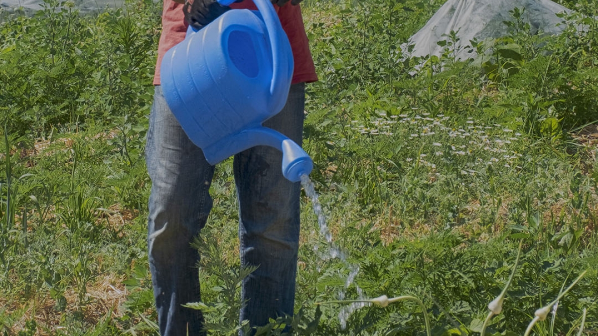 Gardening the Community Garden #54_2 © 2020 Patricia Crutchfield