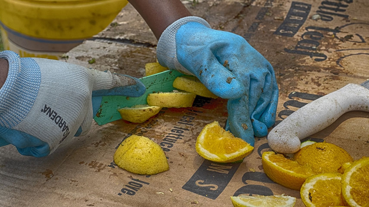 Gardening the Community Garden #54_4 © 2020 Patricia Crutchfield