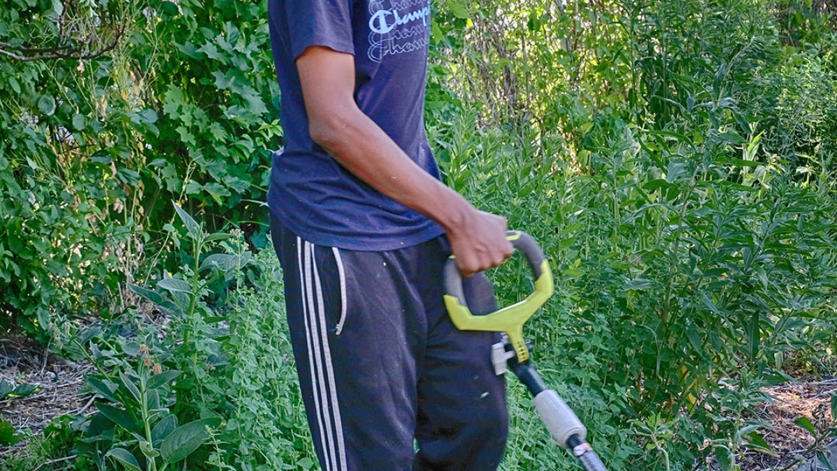 Gardening the Community Garden #58_1 © 2020 Patricia Crutchfield