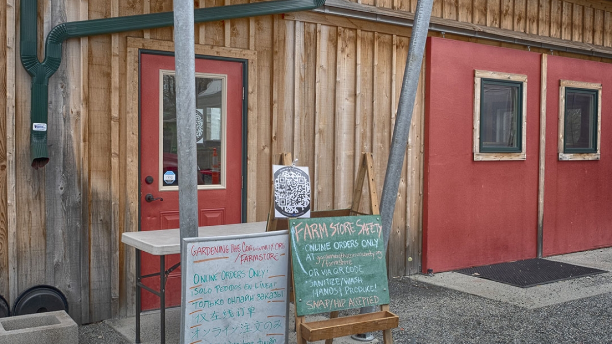 Gardening the Community Garden #5 © 2020 Patricia Crutchfield