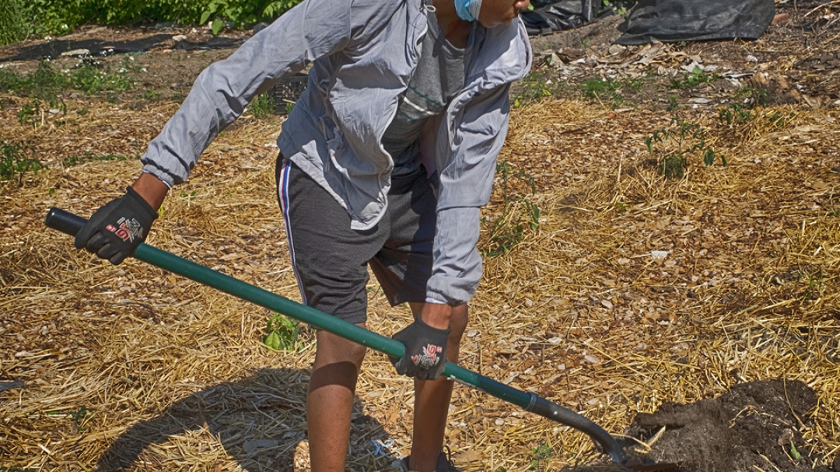 Gardening the Community Garden #60_1 © 2020 Patricia Crutchfield