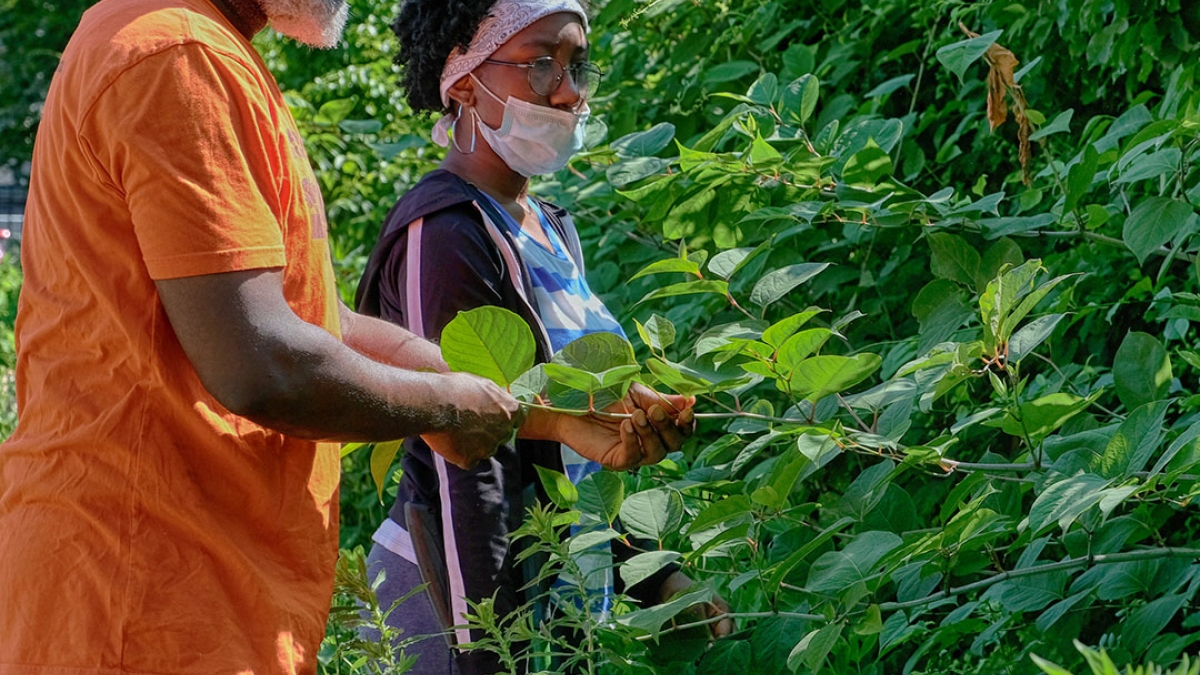 Gardening the Community Garden #60_2 © 2020 Patricia Crutchfield