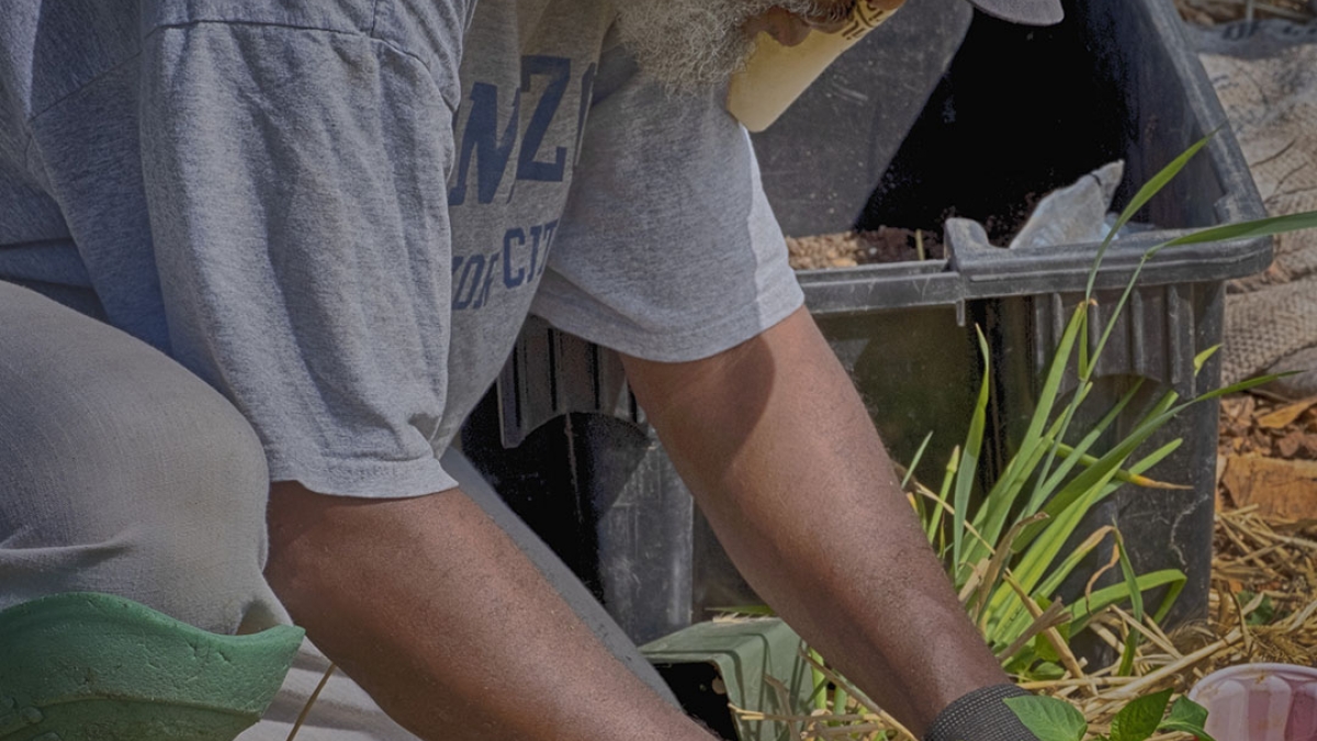 Gardening the Community Garden #62_1_Ibrahim, Teacher and Gardner  © 2020 Patricia Crutchfield