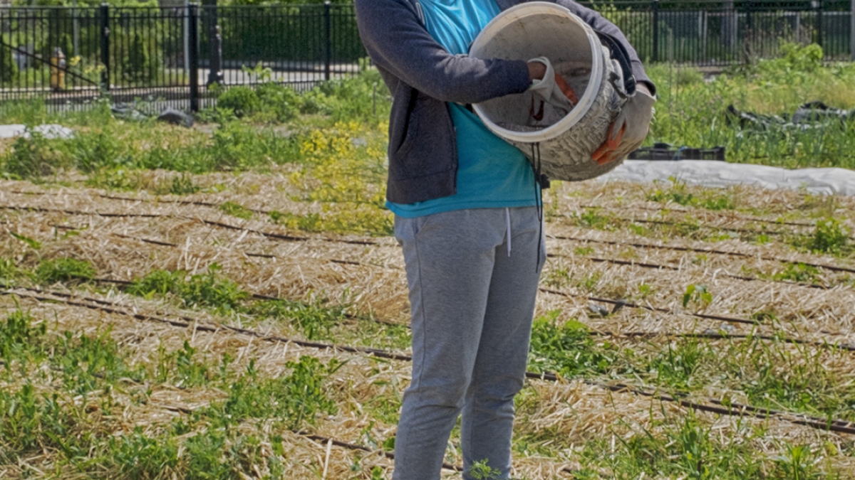 Gardening the Community Garden #63_1 © 2020 Patricia Crutchfield