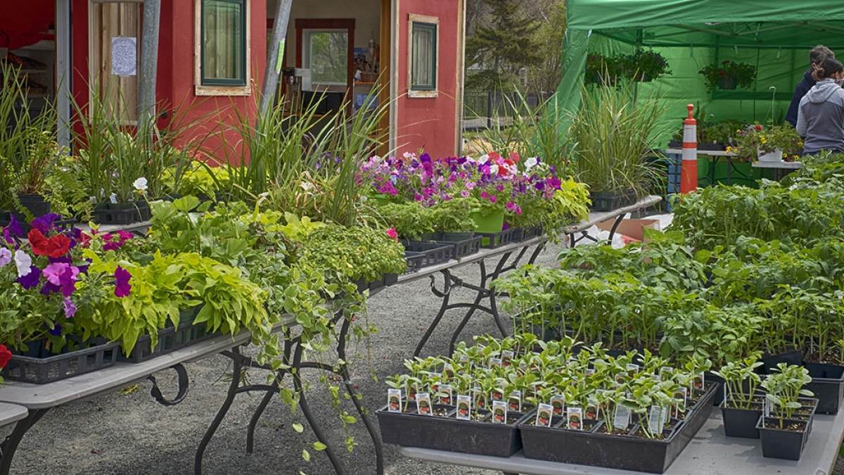 Gardening the Community Garden #65 © 2020 Patricia Crutchfield