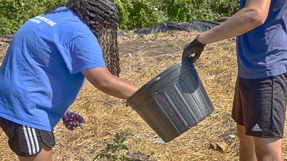 Gardening the Community Garden #69_1 © 2020 Patricia Crutchfield