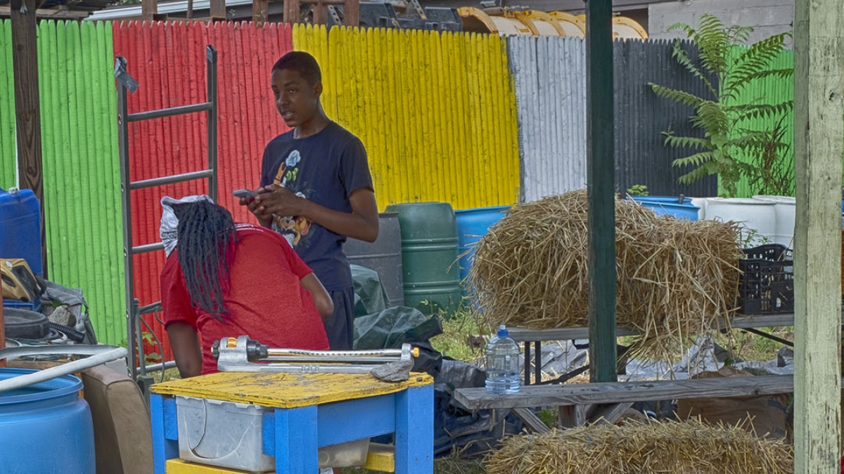 Gardening the Community Garden #69_3 © 2020 Patricia Crutchfield