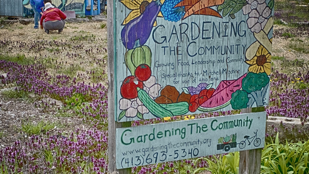 Gardening the Community Garden #70 © 2020 Patricia Crutchfield